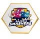 Bajoria Smashers team emblem